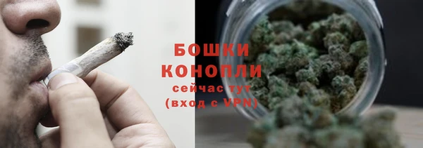 прущие грибы Баксан
