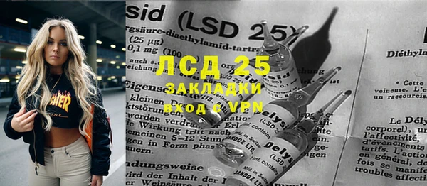 прущие грибы Баксан