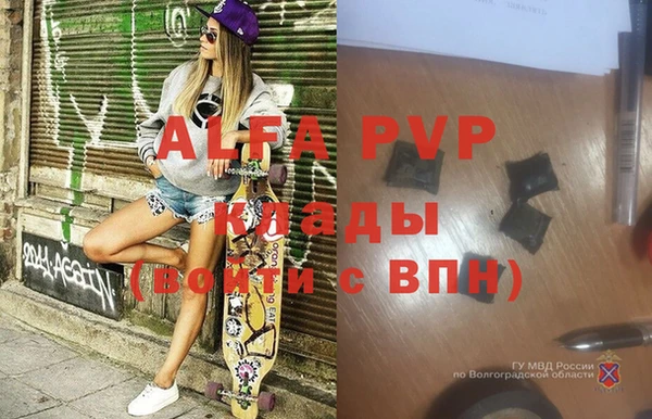 прущие грибы Баксан